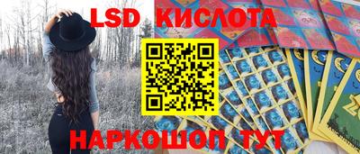 шишки Гай