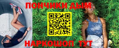 шишки Гай