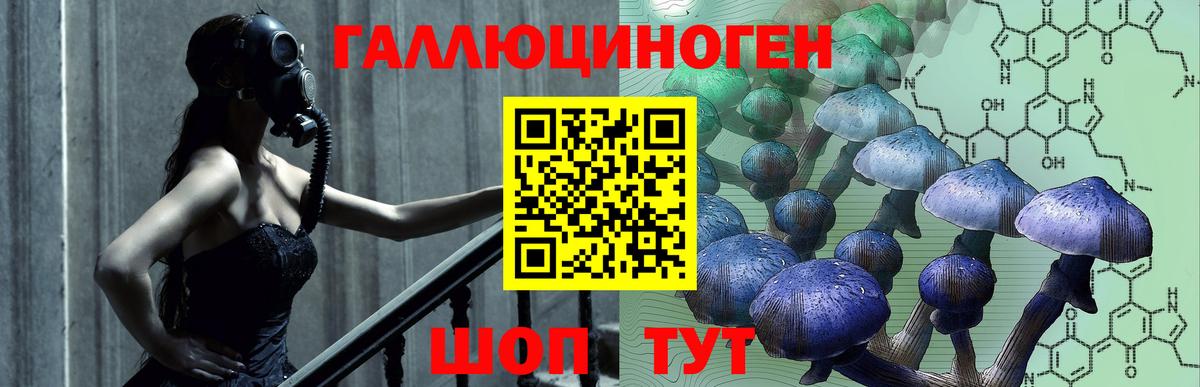 Псилоцибиновые грибы GOLDEN TEACHER Саянск